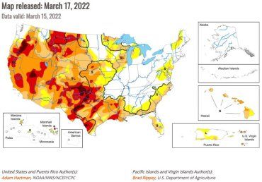 До 60% озимой пшеницы в США может быть уничтожено из-за засухи