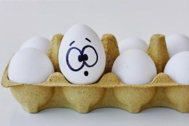 В Украине наведут порядок с яйцами