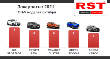 Водители в Закарпатье за месяц "отвалили" 70 миллионов на автомобили (ФОТО)
