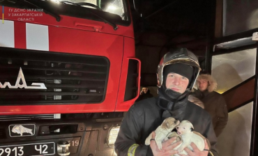 В Закарпатье щенят спасли из пылающего дом