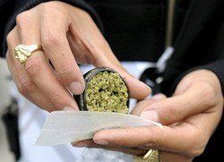 Ужгородская милиция знает, где продают марихуану