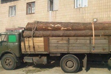 Инспекторы ГАИ задержали грузовик «МАЗ» с 20 кубометров леса