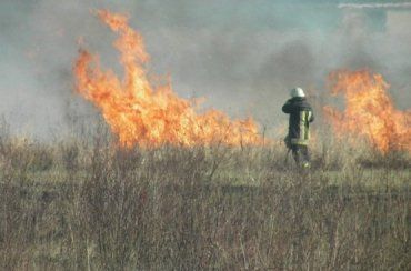 В Закарпатье возникла большая угроза возникновения лесных пожаров