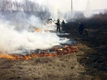Подразделениями Управления ДСНС Украины в Закарпатье потушено 75 пожаров