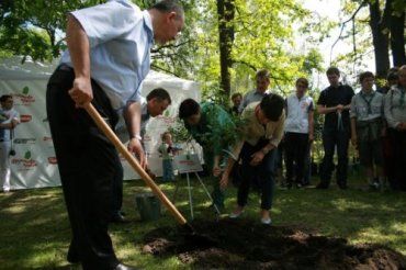 Депутаты будут в Ужгороде сажать деревья и устанавливать скамейки