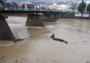 В особой зоне риска наводнений - областной центр Закарпатья