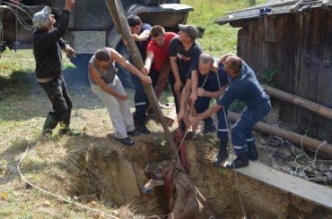 Спасатели Закарпатья вытащили из 7-метрового колодца корову