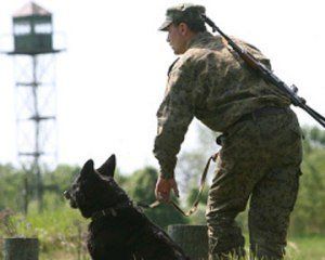 Мукачевский пограничный отряд задержал нарушителей границы