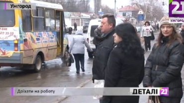 Ужгородские перевозчики требуют увеличить цену на проезд на автобусе до 4, 5 грн