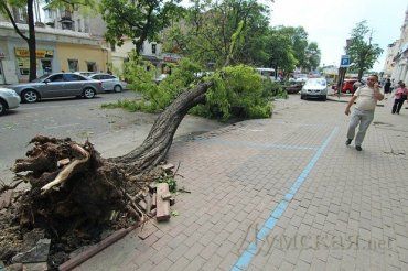 Центр Одессы после урагана напоминает лесопилку