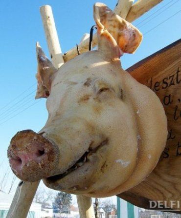 Фестиваль мясников проходит в селе Геча на Закарпатье зимой уже пятый год