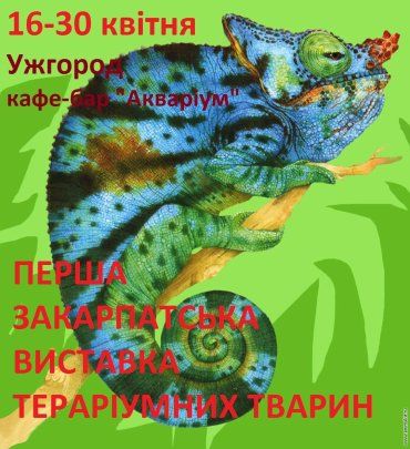 В Ужгороді відкриється перша виставка тераріумних тварин