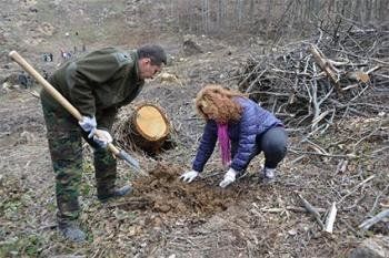 на Ужгородщині в 2014 році через буревій постраждало 78 тисяч кубів лісу.