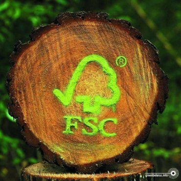 Закарпаття проходить 100% сертифікацію за схемою Лісової опікунської ради