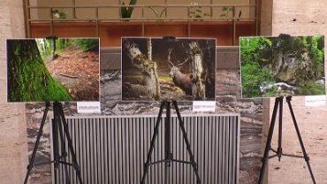В атриуме Закарпатской ОГА устроили масштабную фотовыставку