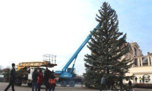 В Ужгороді вже встановили новорічну ялинку.