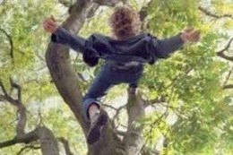 Хлопець впав з дерева з висоти трьох метрів.