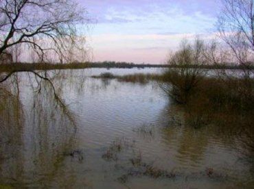 Подъем воды ожидается из-за сильных осадков в нижнем течении реки Боржава