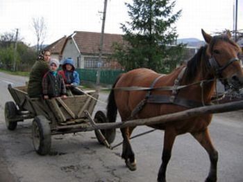 В закарпатском селе украинцы страдают от волохов и цыган