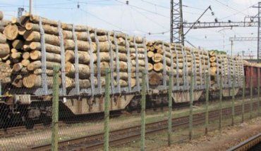 Ужгородский суд конфисковал очередной вагон леса
