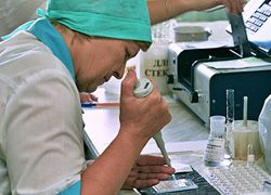 Минздрав РФ разработал защиту от свиного гриппа