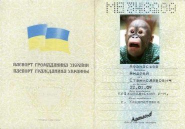 Украинцы так подделывают паспорта, что их легко выявить