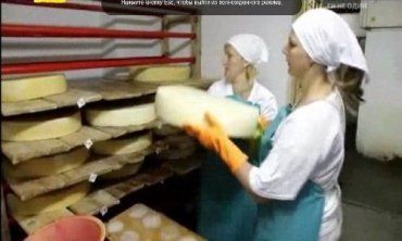 Для изготовления одной головки сыра нужно 450 литров молока