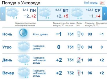 В Ужгороде ожидается мелкий дождь, который сменится мокрым снегом