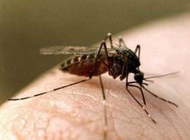 В Береговском районе мужчина умер от укуса насекомого