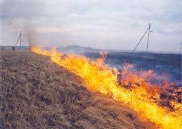 Синоптики объявили в Закарпатской области пожарную опасность
