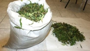 В Рахове в парке милиция задержала любителя марихуаны