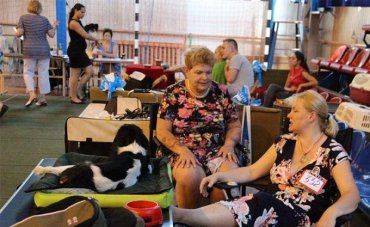В Ужгороде Международная выставка собак прошла за закрытыми дверями "Юности"