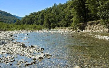 В Закарпатье из-за аномальной жары пересыхают колодцы и реки