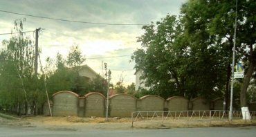 В Ужгороде на улице Собранецкой вандалы вырубили сразу несколько деревьев
