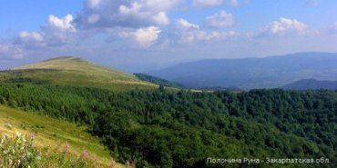 Полонина Руна — самая большая полонина в горах Закарпатья