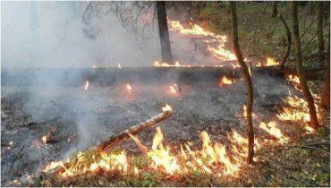 С начала этого года в области зафиксировано уже около 1700 пожаров