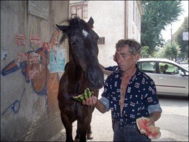Мужчина разбил арбуз и накормил животного. Наталия и Александр предполагают, что конь принадлежит цыганам.