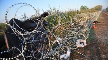 Венгрия начала строительство стены на границе с Хорватией
