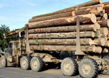 ГАИ был задержан автомобиль «УРАЛ», который перевозил древесину