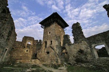 Обсуждался вопрос сохранения Невицкого замка на Закарпатье