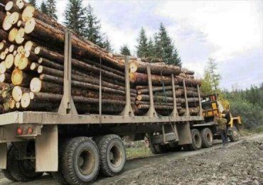 В Русской Мокрой люди протестуют против перегруженных лесовозов