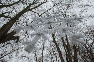 В Ужгороді нарешті з’явився сніг!