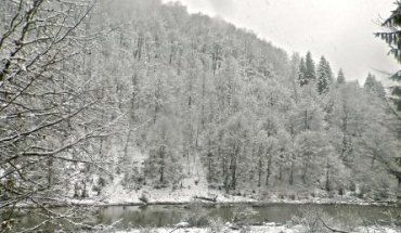 Через сильний снігопад у кількох селах Хустщини не було світла