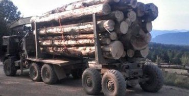 На посту "Лазещина" правоохоронці затримали вантажівку з лісом.