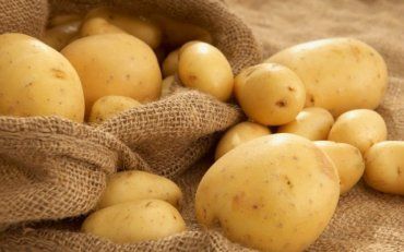 Картоплю ми вживаємо частіше всього. А що ви знаєте про картопю?