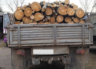 Іршавські правоохоронці затримали вантажівку з лісом.