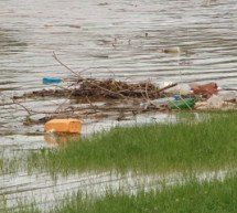 Сміття, сморід та екологічну катастрофу несуть води річки Латориці.