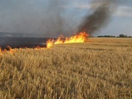 Біля Ужгорода всю суботу палали пшеничні поля.