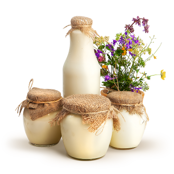У підсобних господарствах вироблено 29,1% молока, молокопродуктів та масла