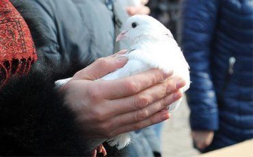 Пікетувальники генконсульства РФ у Львові запускали білих паперових голубів